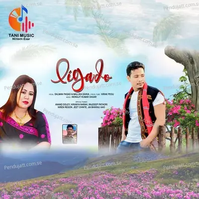 Ligado - Salman Pagag album cover 