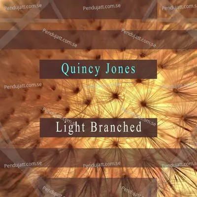 Light Branched - Quincy Jones cover album