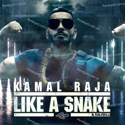 Like A Snake - Kamal Raja album cover 