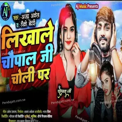 Likha Le Chaupal Ji Choli Par - Pinki Bedardi album cover 