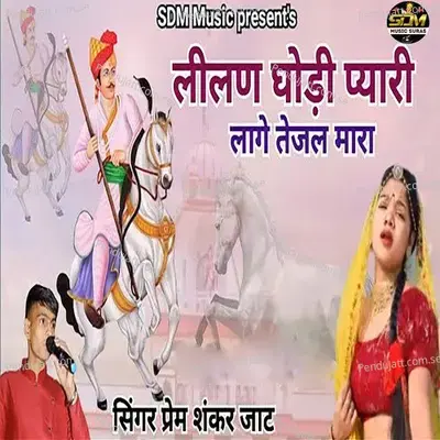 Lilan Godi Pyari Lage Tejal Mara - Prem Shankar Jaat album cover 