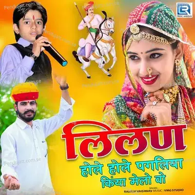 Lilan Hole Hole Pagliya Kiya Melo Vo - Rakesh Vaishnav album cover 