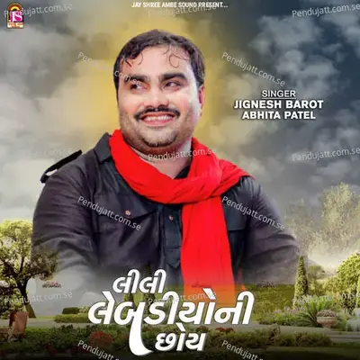 Lili Lebadiyo Ni Choy - Jignesh Barot album cover 
