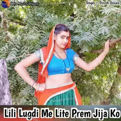 Lili Lugdi Me Lite Prem Jija Ko - Dinesh Dekwa album cover 