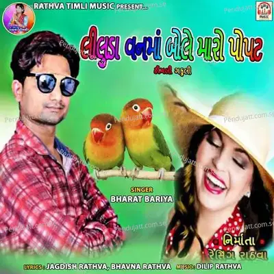 Torniyo Taro Nami Jelo - Bharat Bariya album cover 