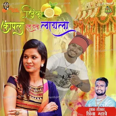 Javale Gavala Halad Hay - Sonali Bhoir album cover 