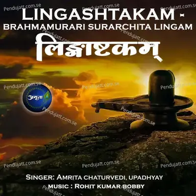 Lingashtakam Brahmamurari Surarchitalingam - Amrita Chaturvedi album cover 