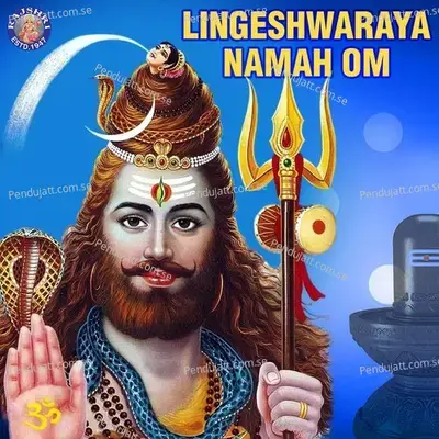 Lingeshwaraya Namah Om - Various Artists