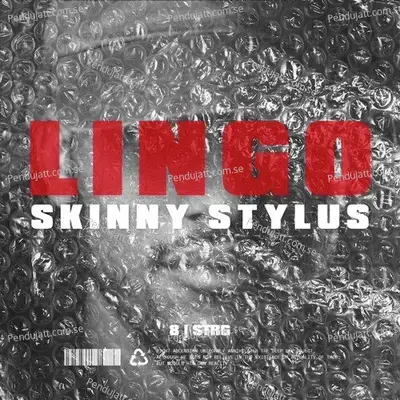 Zu Busy - Skinny Stylus album cover 