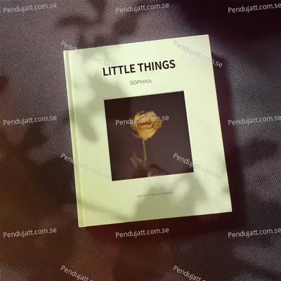 Little Things - Sophiya album cover 