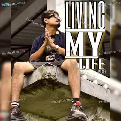 Living My Life - Pukss album cover 