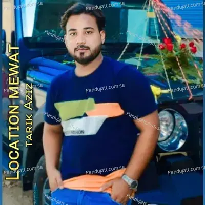 Location Mewat - Tarik Aziz album cover 