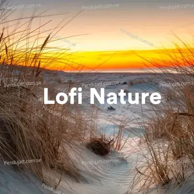 Lofi Nature - Various Artists cover album