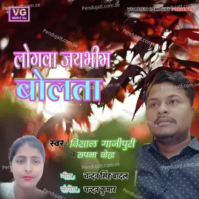 Logava Jay Bheem Bolata - Vishal Ghazipuri album cover 