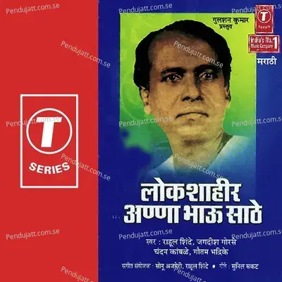 Lekhneechya Talwaarine Ladhtaana Paahile - Sonu Ajmeri album cover 