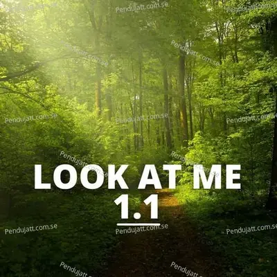 Look At Me 1 1 - Lakhan Hire album cover 