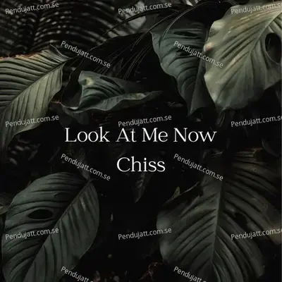 Look At Me Now Chiss - Lakhan Hire album cover 