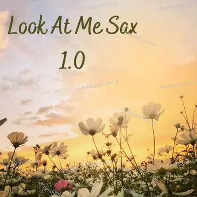 Look At Me Sax 1 0 - Lakhan Hire album cover 