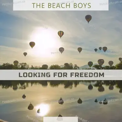 Looking For Freedom - The Beach Boys cover album
