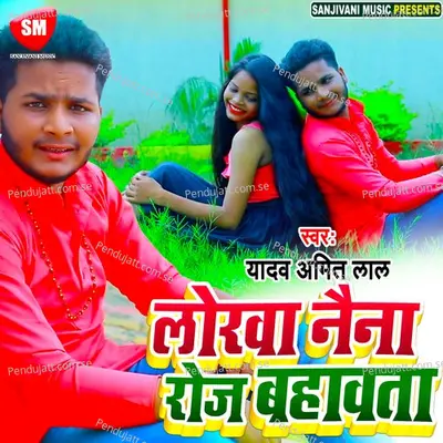 Lorwa Naina Roj Bahawata - Yadav Amit Lal album cover 