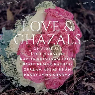 Love & Ghazals - Various Artists cover album