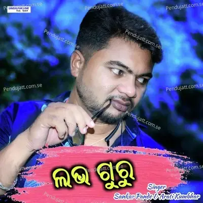 Love Guru - Sankar Pande album cover 