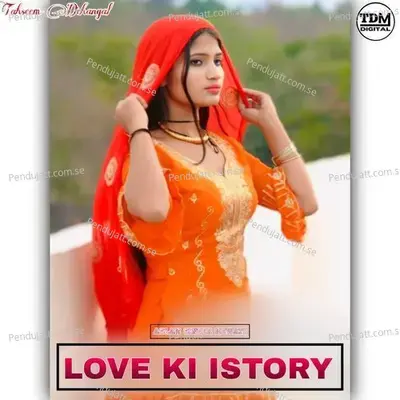 Love Ki Istory - Aslam Singer Mewati album cover 