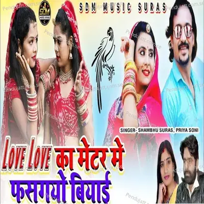 Love Love Ka Meter Me Fasgyo Biyai - Shambhu Suras album cover 
