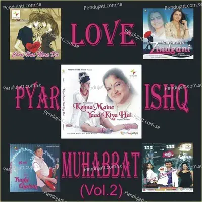 Ho Sake To Mujhe - K. S. Chithra album cover 