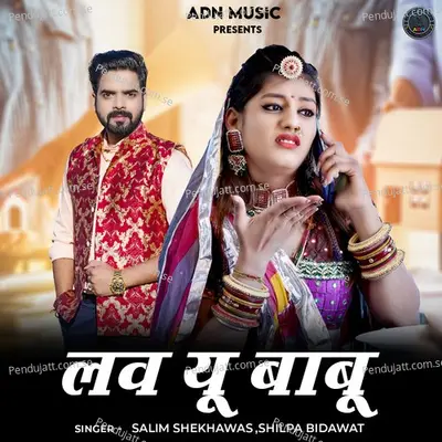 Love You Babu - Salim Shekhawas album cover 