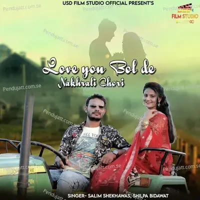 Love You Bol De Nakhrali Chori - Salim Shekhawas