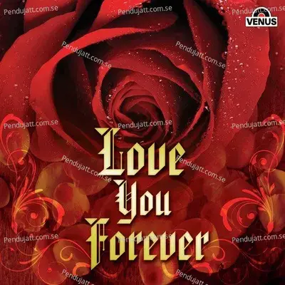 Ae Mere Humsafar - Anu Malik album cover 