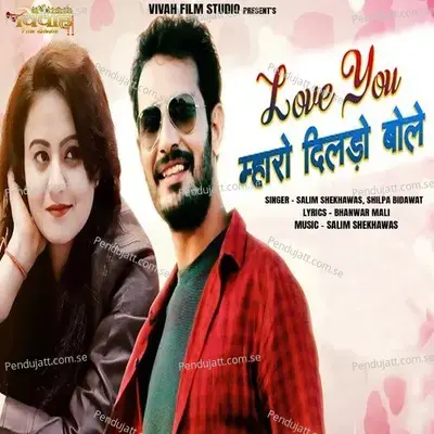 Love You Mharo Dildo Bole - Salim Shekhawas album cover 