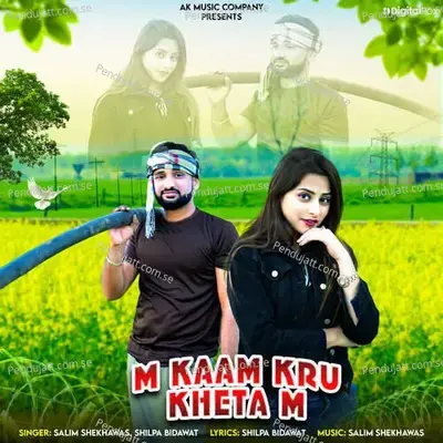 M Kaam Kru Kheta M - Salim Shekhawas album cover 