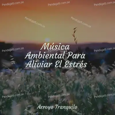 Corriente R  tmica - Instrumental album cover 