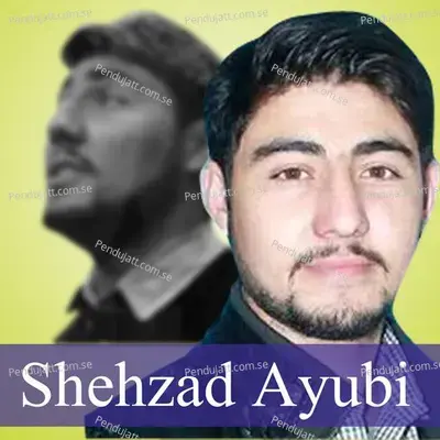 Ma Hawaz Ta Kara No Doyana La - Shehzad Ayubi album cover 