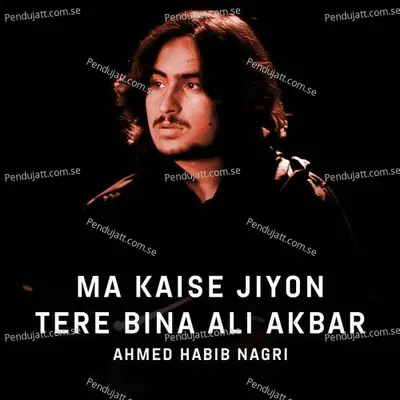 Ma Kaise Jiyon Tere Bina Ali Akbar - Ahmed Habib Nagri album cover 