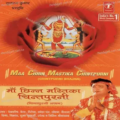 Dware Tumhare Jo Bhi Maa Aaya - Santosh Shrivastava album cover 