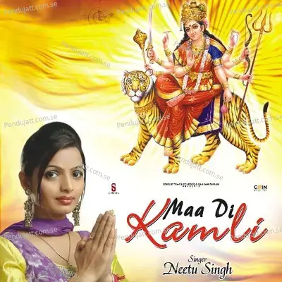 Nacha Ge Saari Raat - Neetu Singh album cover 