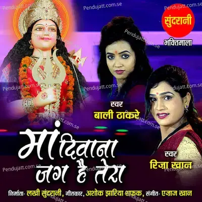 Maa Diwana Jag Hai Tera - Riza Khan album cover 