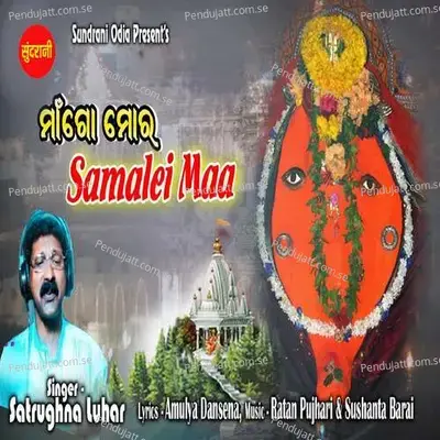 Maa Go Mor Samalei Maa - Satrughna Luhar album cover 