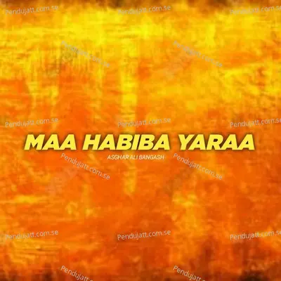 Maa Habiba Yaraa - Asghar Ali Bangash album cover 