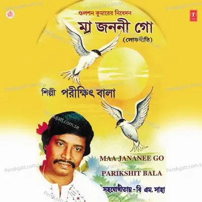 Maa Jananee Go - Parikshit Bala cover album