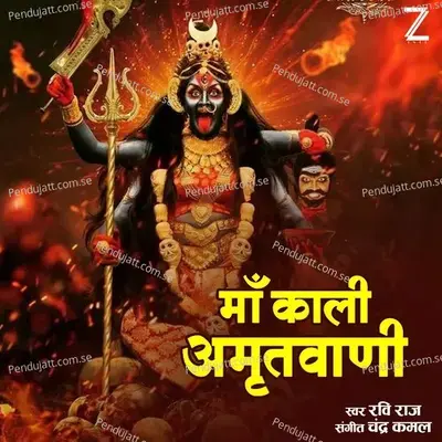 Maa Kali Amritwani - Ravi Raj album cover 