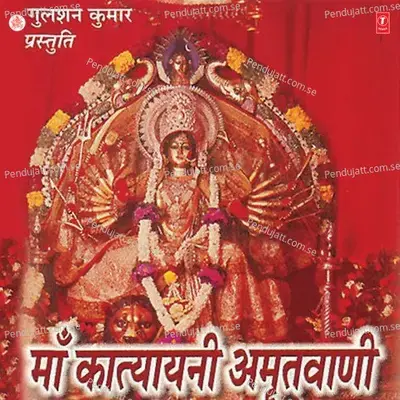 Maa Katyani Amritwani - Anuradha Paudwal album cover 