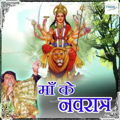 Peethtu Bulwa Du - No Papa - Lalit Sharma album cover 