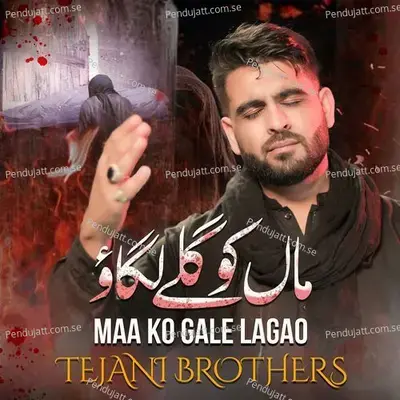 Maa Ko Gale Lagao - Tejani Brothers album cover 