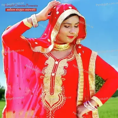 Maa Ko Ghar Bodo - Aslam Singer Mewati album cover 