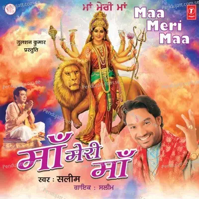 Maa Meri Maa - Saleem-Parvez album cover 