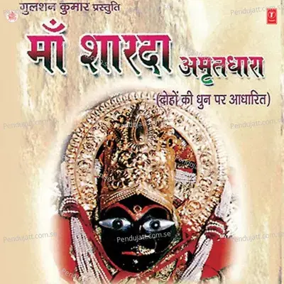 Dekh Liye Kashi Mathura..............sharde Maa Ko Pranam - Anil Damedhar album cover 